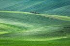 Krajina v zelené (jižní Morava)